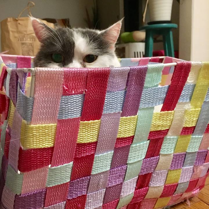 4d1614d3 deec 42b4 9936 c7bb767b3aa5