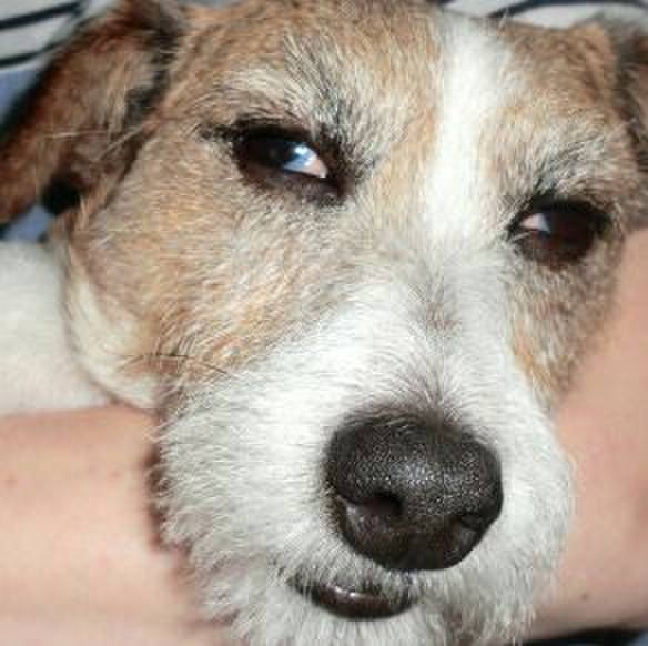 4d161e7e 0766 4a58 9600 a471002a1aa2