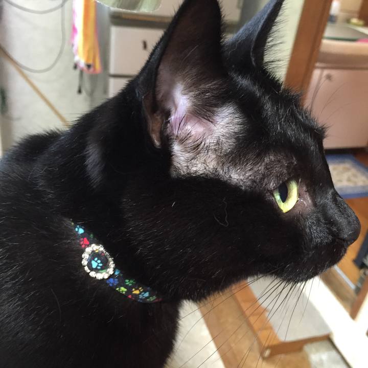 4d164025 8c68 49d9 b440 8d4500476f92