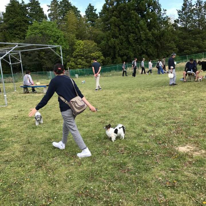 4d1686d7 8917 42bc 91ab d082c051791e