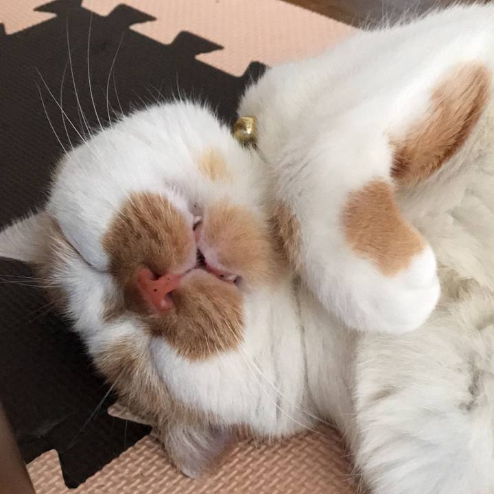 4d16e284 a268 4a27 921b 91bb1121869a