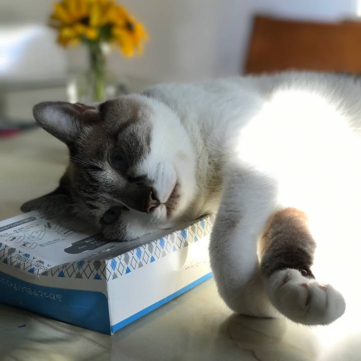 4d1702a3 3b18 4ffa a65e ca38fcb2fda9