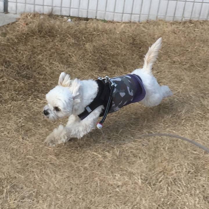 4d175141 7bcd 471c bd67 0b4328bc9d39