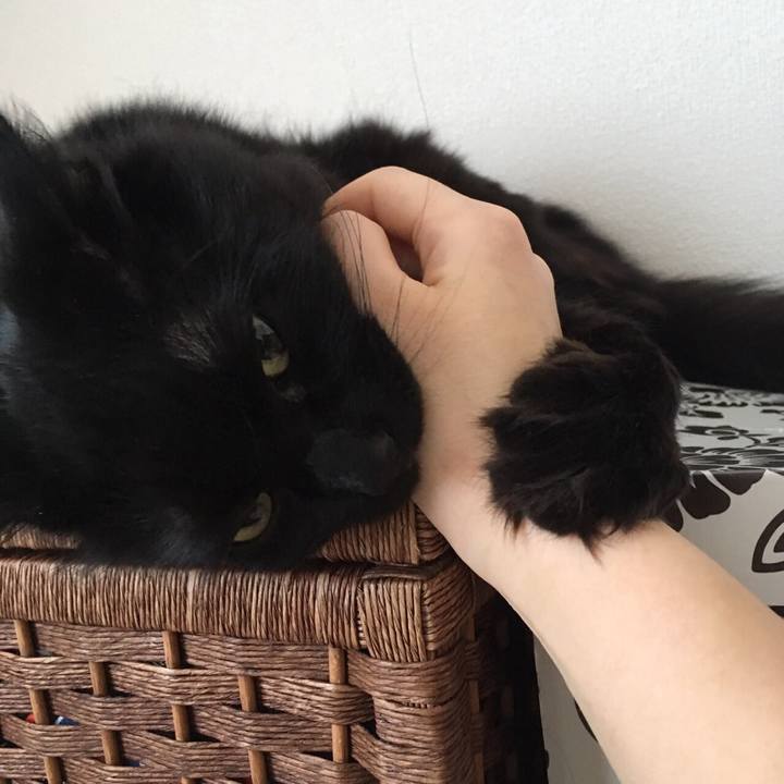 4d17747f 4b0c 492e 8f7c f2d8b1ca0244