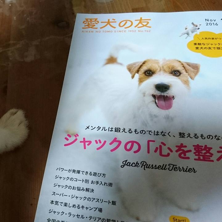 4d177f47 7846 47c7 8501 1afe6ca48e48