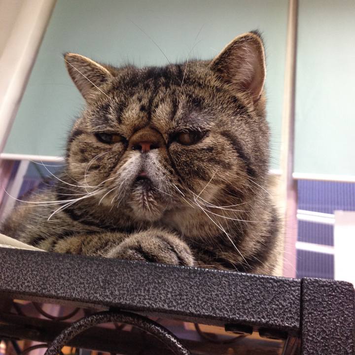 4d17c668 9a21 4aa4 ae5c ef2f6b922214