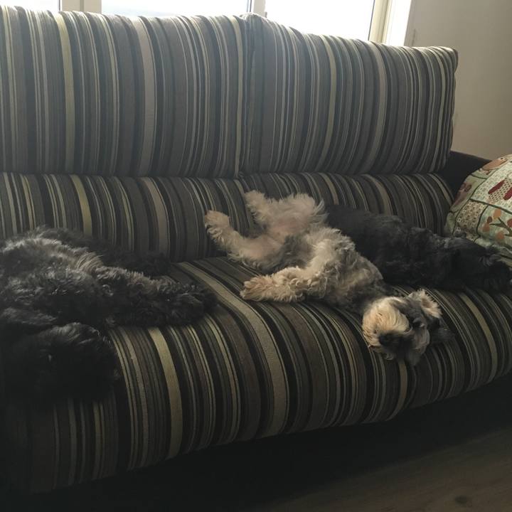 4d18351a d29e 4f0c 9d7a 782030ccdaf8