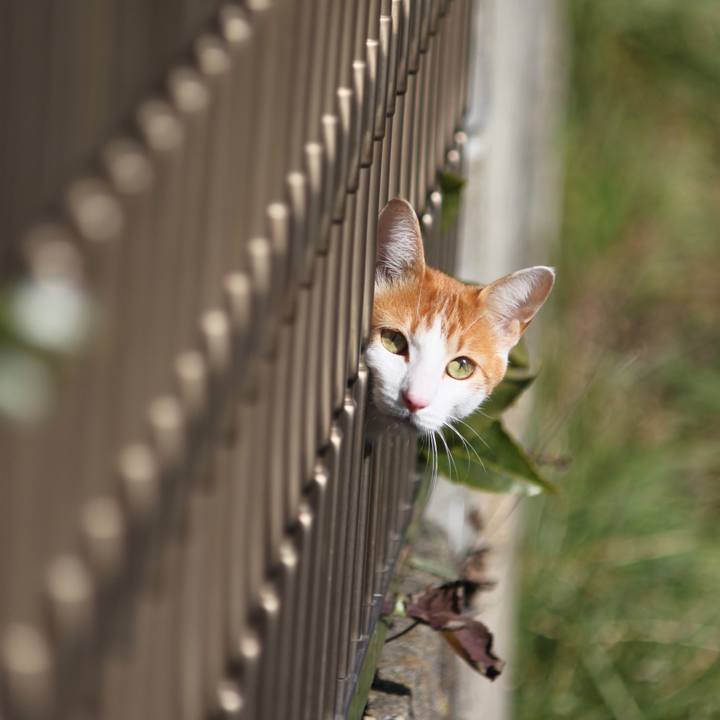 4d18b3bf 983c 4af4 9cd9 fb70fa22bac7