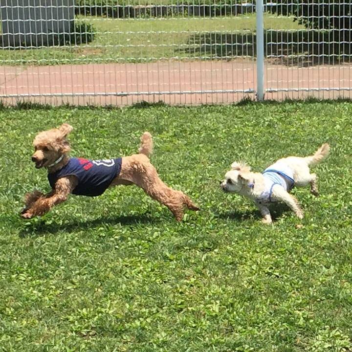 4d18cd8d cd4c 45ff b85f 3ca1f8cf1d40