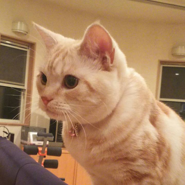 4d18d3d2 ea42 462c 9c7b e27637cafc46