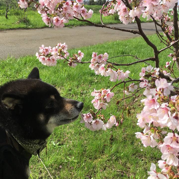 4d193598 1d4f 4c14 91b4 6f4a7ecabf11