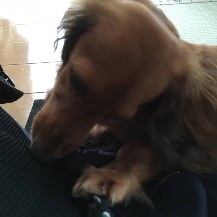 4d1944ee 1a02 46fe a482 f5f60a31a6d8