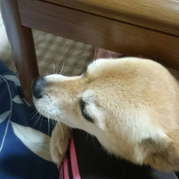 4d1987d5 6818 4e42 9acb 89f57c3ed379