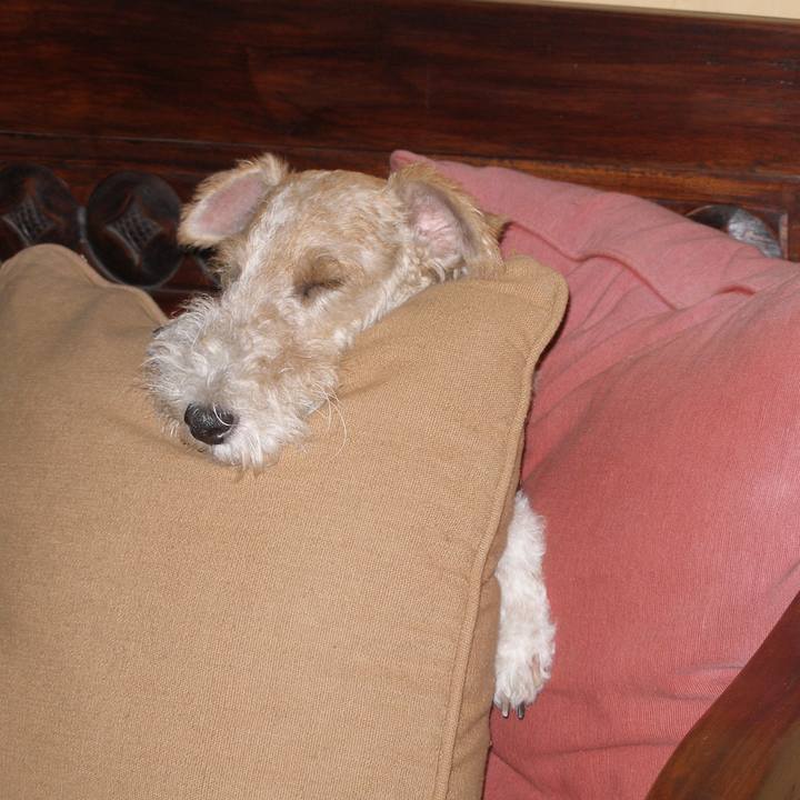 4d1a40a3 c8f6 4262 a2dd c71cc5c96dce