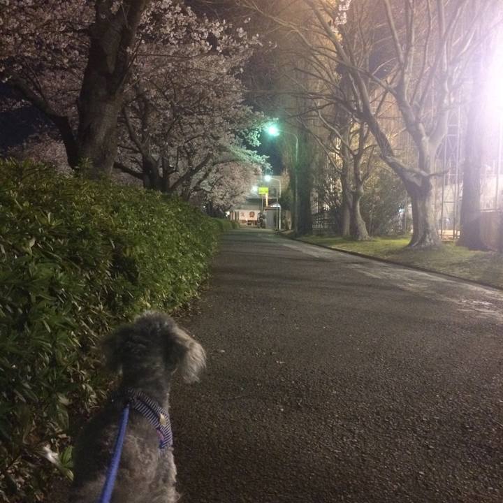 4d1a8824 4246 4fe0 b7f5 c5400a764c49