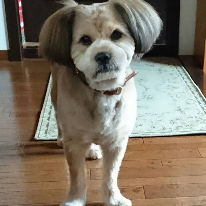 4d1ab3a4 3ed5 4764 a6ee fc1f2db77c46