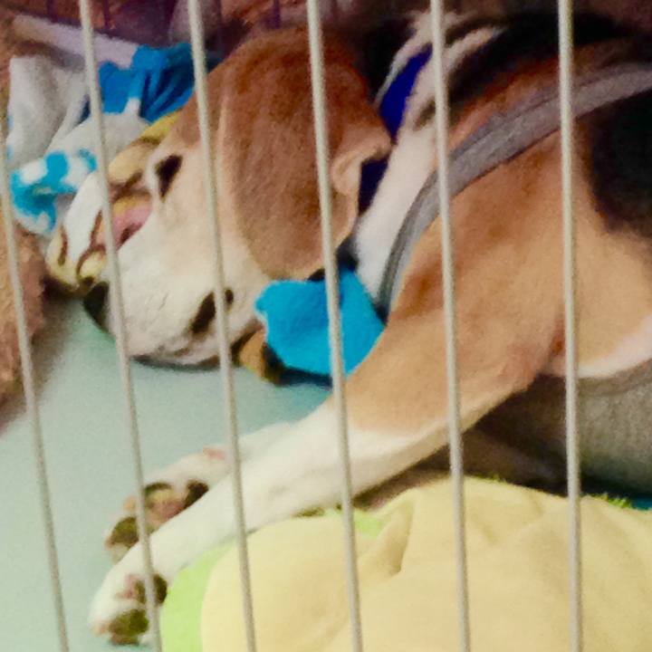 4d1b5ecb e22b 439d bc7b f2316530b722