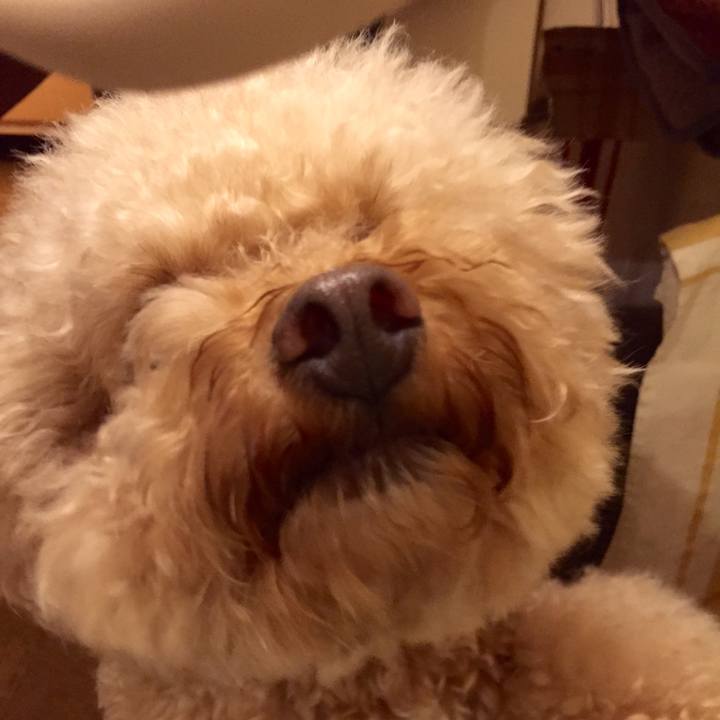 4d1bd92f c347 4346 8ea5 274e199717f6