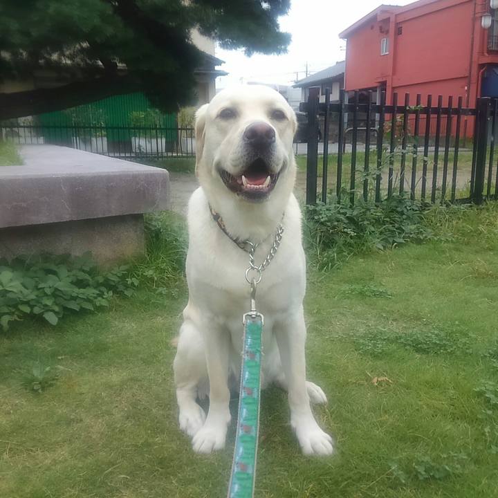 4d1db9be 8c11 4229 a85f 257e81fc6992