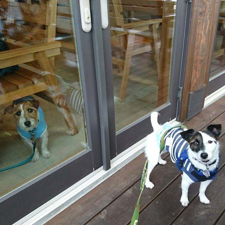 4d1e97b9 4bf8 4771 9521 54799dfd3d8f