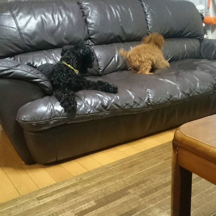 4d1ee121 e259 4004 9363 8b185d7671f4