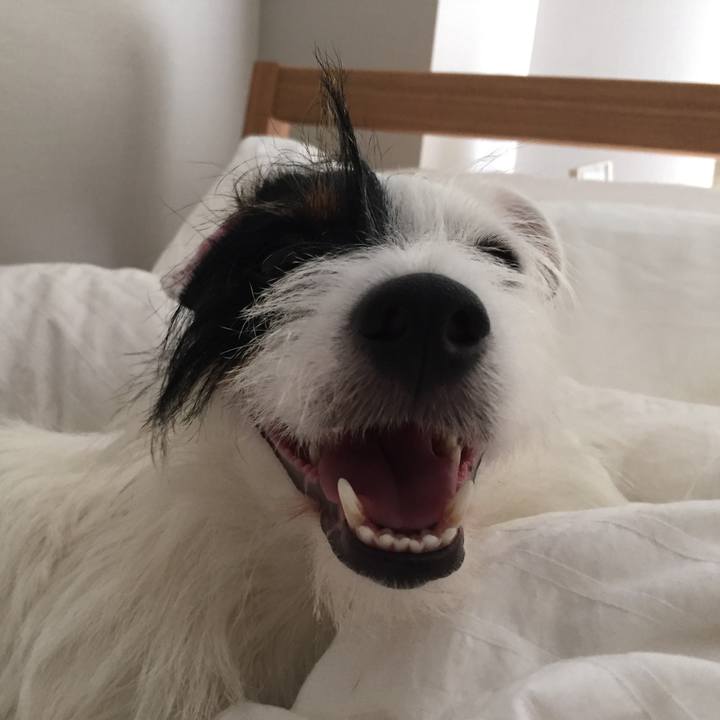 4d1ef2b2 4577 45b3 8f29 81b7ec4bbbe3