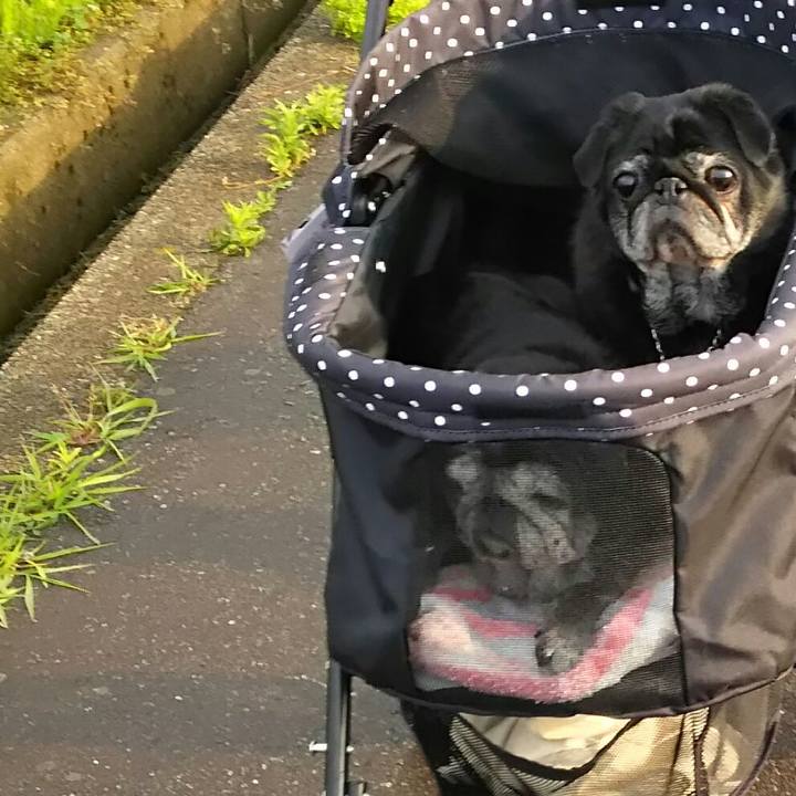 4d1f2526 0c4f 4644 86e5 2af9a446de18