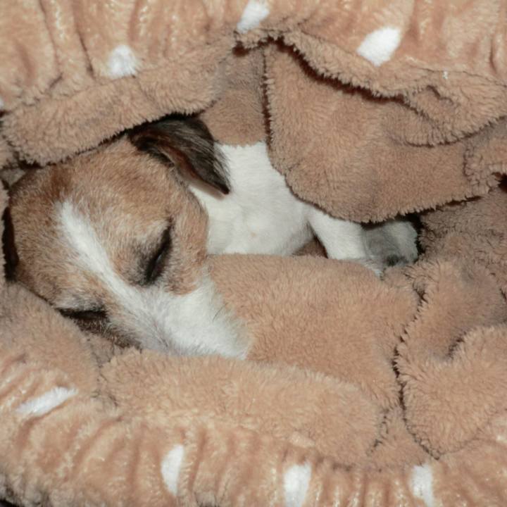 4d1f7e70 7411 4c7d b3a5 9b9769b62888