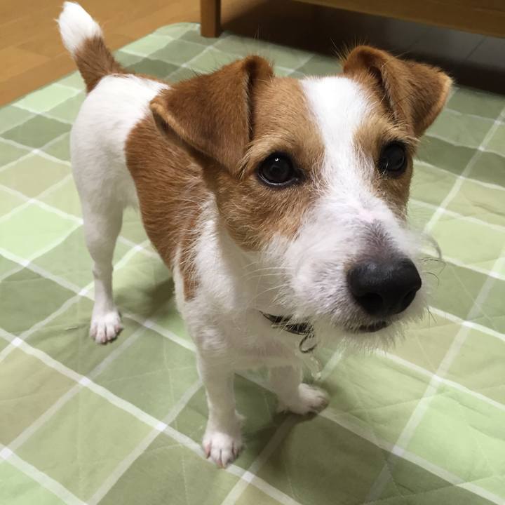 4d20ad17 f20c 4d22 a7d3 f62791745a79