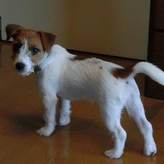 4d21270e 8c7c 4fb9 93b7 d192a4aa00e0