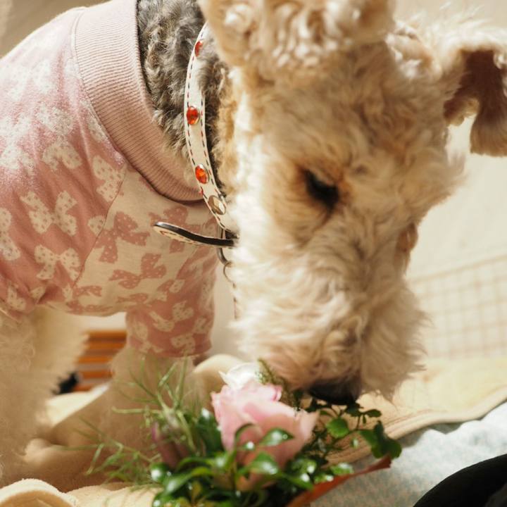 4d2157a2 c8a0 4c65 954b aa79ae0d9e40