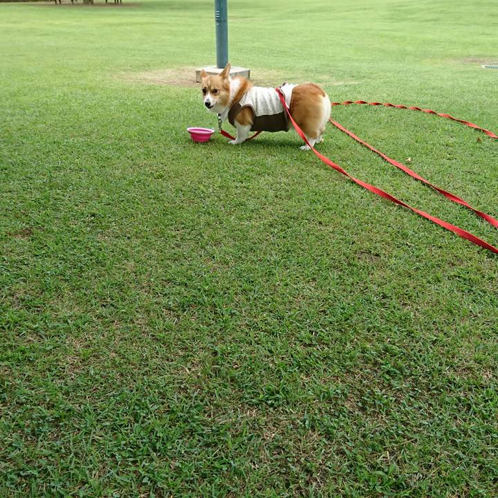 4d2170d8 8d13 4e7f be55 157d33fb5f0e