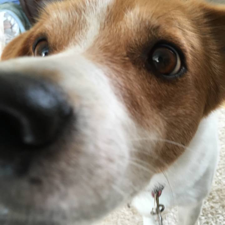 4d2196bf dcf3 4dff b367 26ddf5957520