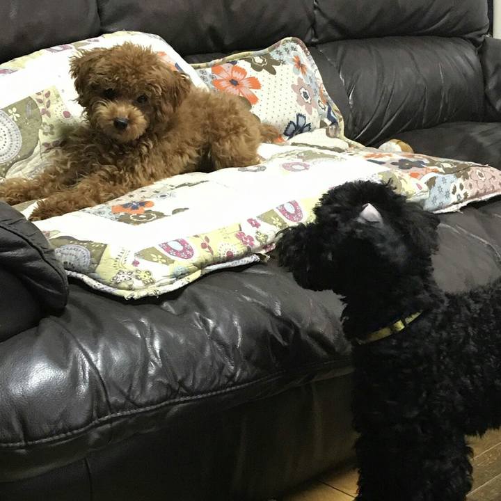 4d219732 4f79 4353 8291 6646c47a4bad