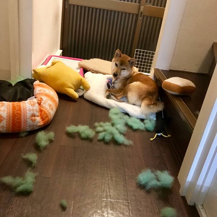 4d21cf90 a1b5 4c86 9f14 bf6eddd87201