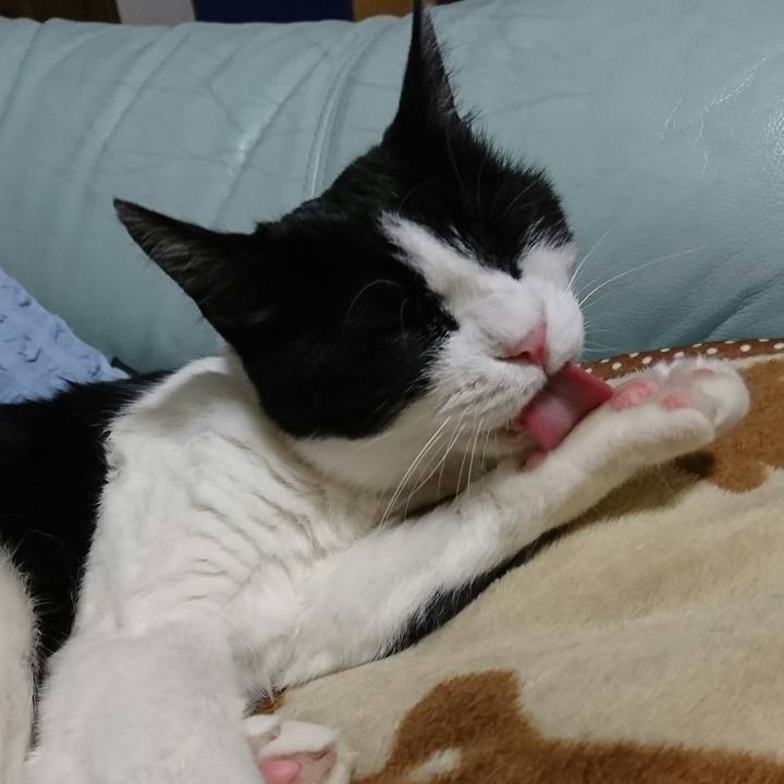 4d22b9cd 27a9 4896 9aae 7f2e3409e839