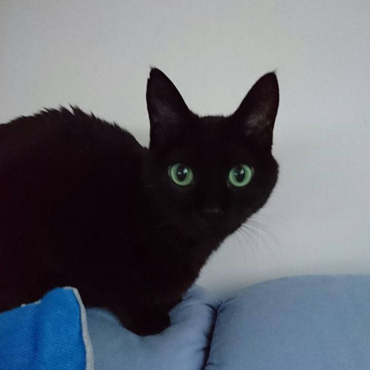 4d232c9e fc92 4236 8fe1 ac8f85d45ff2