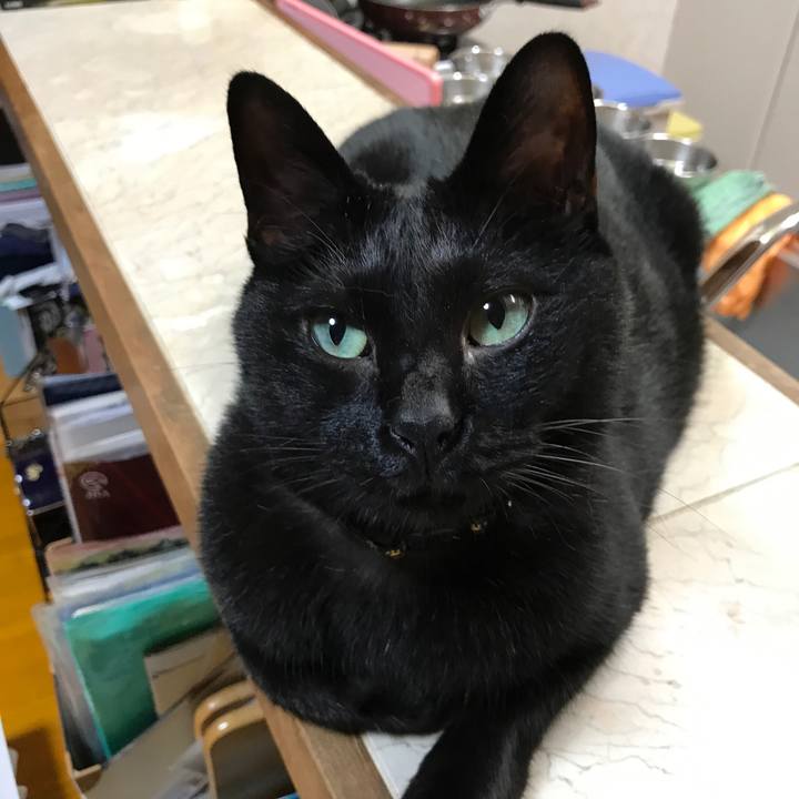 4d2346e6 ba54 4973 b8f1 c9478c504ba5