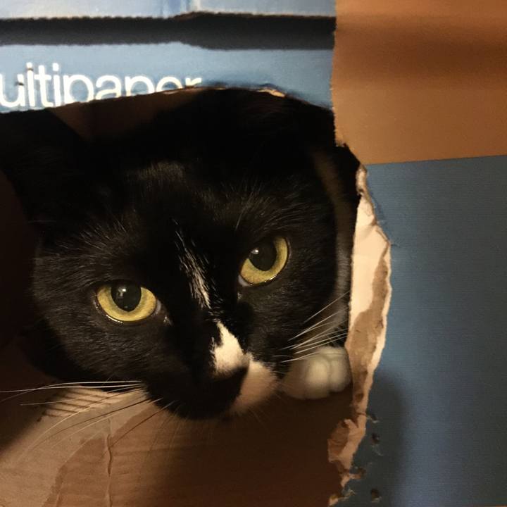 4d239b5f c185 49e0 b32e b09cb455940d