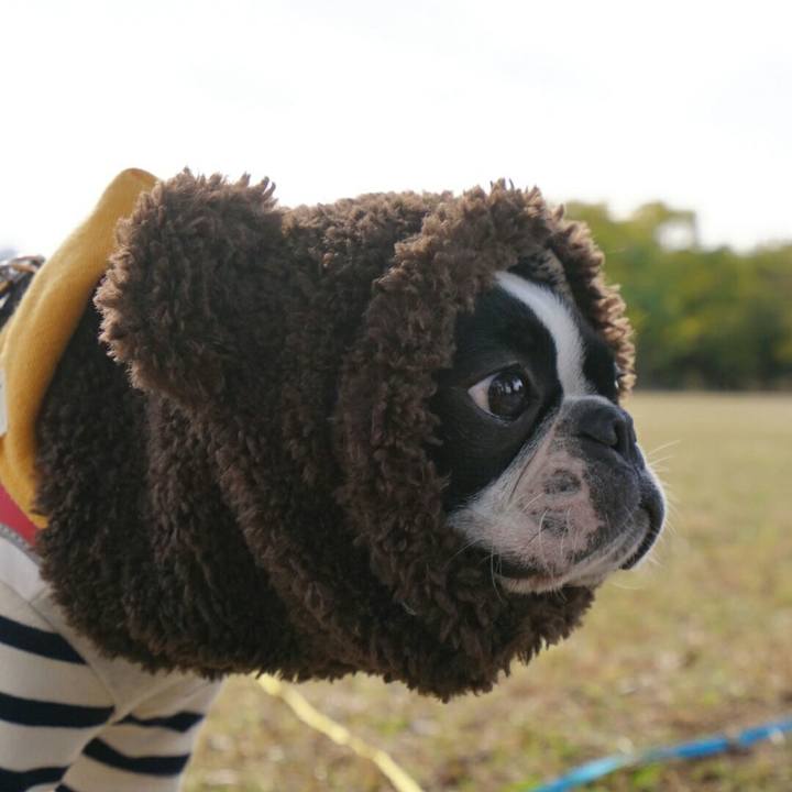 4d23bb0f 858c 4479 b3ab 318d5b36d67d