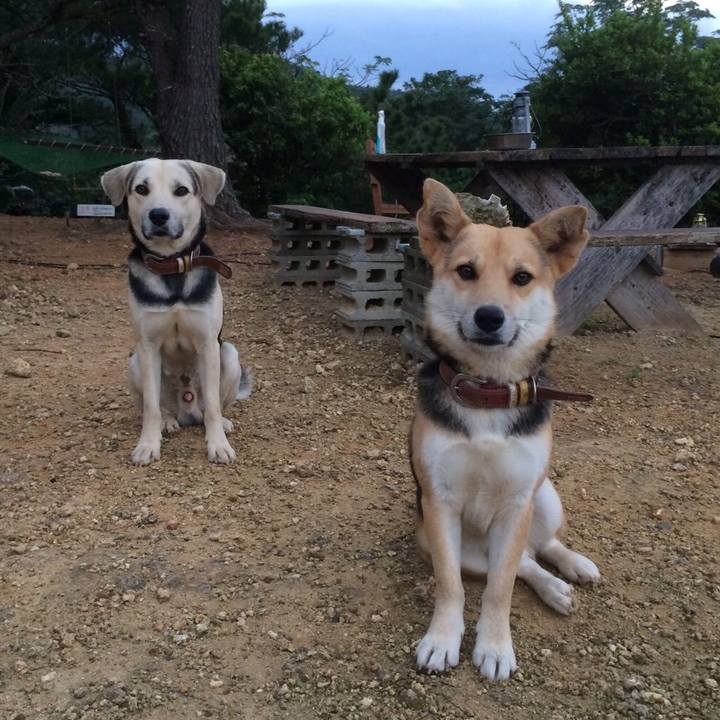 4d23c838 5b72 41f4 b932 015a120ea39a