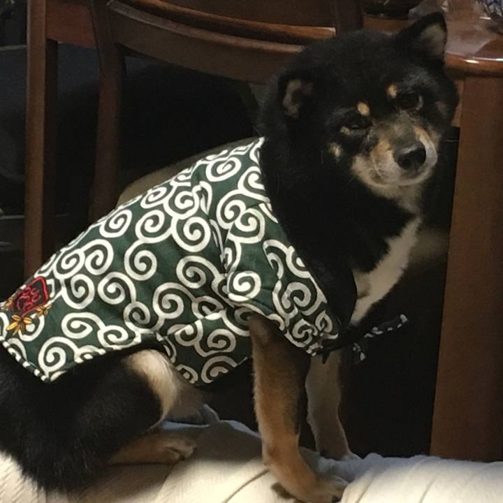 4d24423e 5a4f 4a55 8df7 c70518ae9454