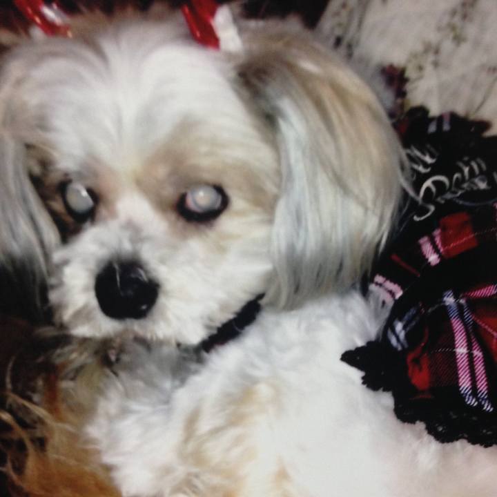 4d247a15 e57d 42f7 9e2b 369777c4d292