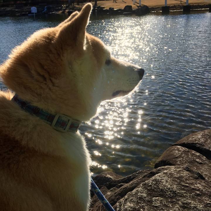 4d248367 0b86 4359 975a bcbfa97cd2e2