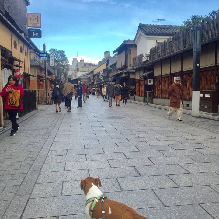 4d251292 93de 4f01 984e 4e408c563764