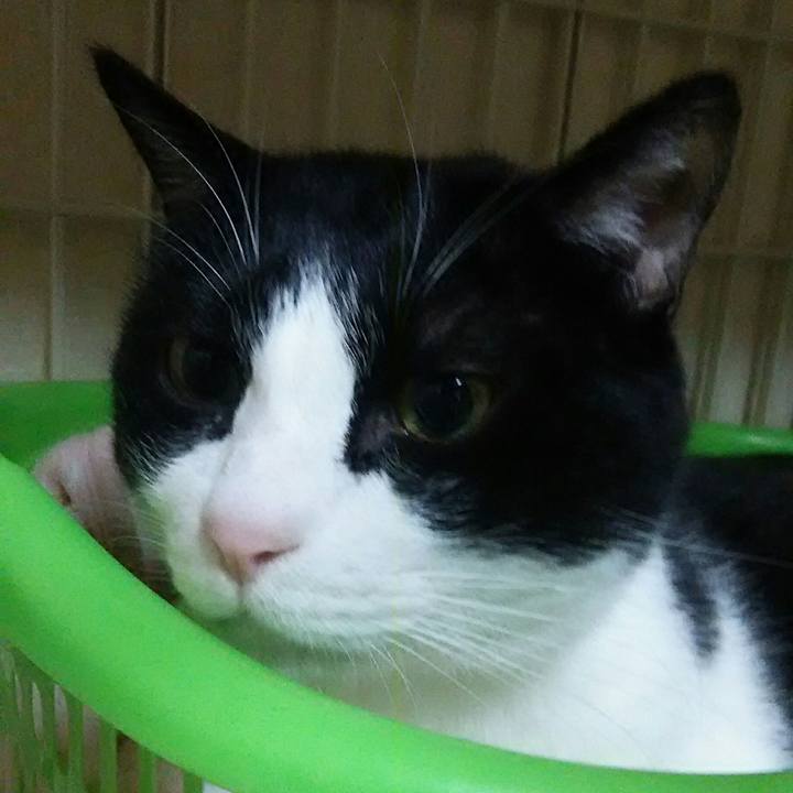 4d259374 2c7b 4031 8305 70fff4a97a7b