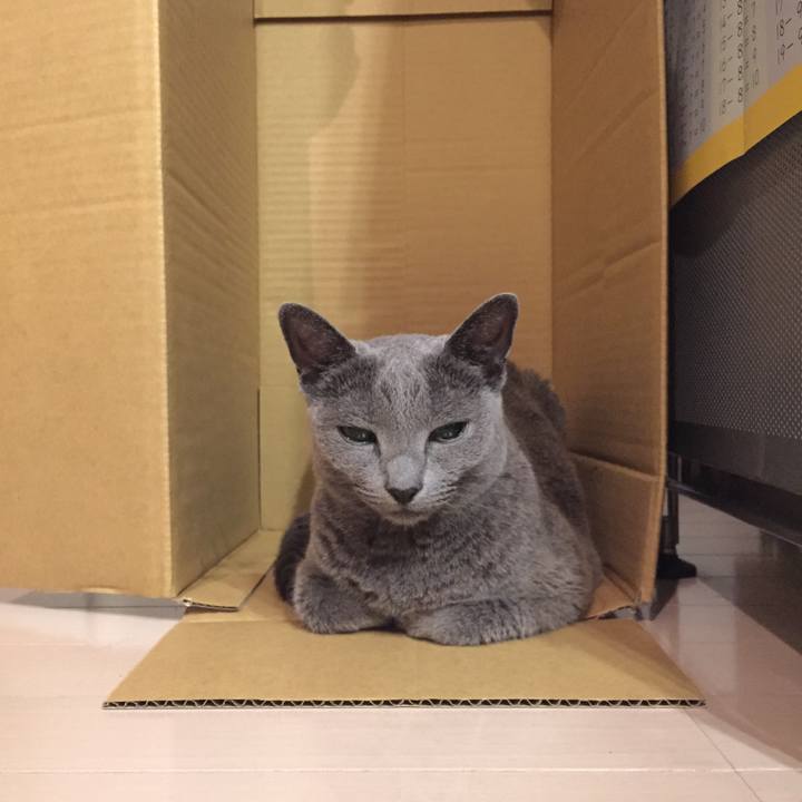 4d266657 67d2 47af 8164 3f878a0dc7a9