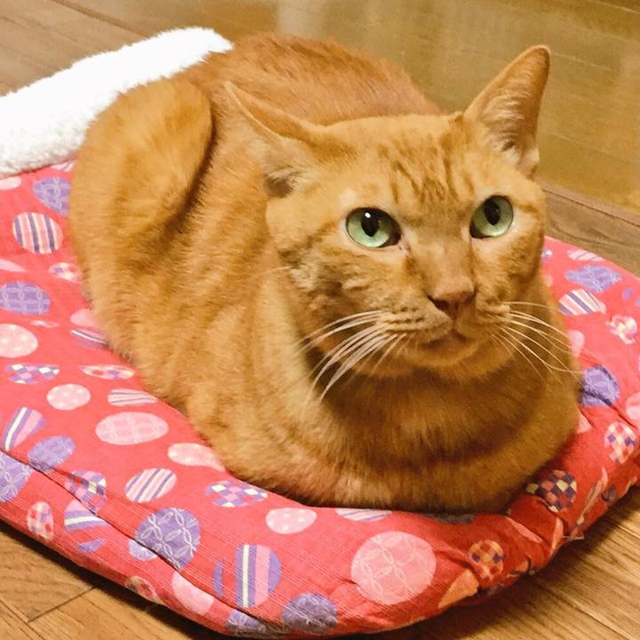 4d27b18f e125 4640 bb02 7ea544574e7e