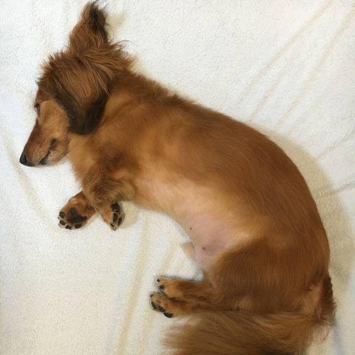 4d27ba19 f8df 4007 a193 c744131ff63a