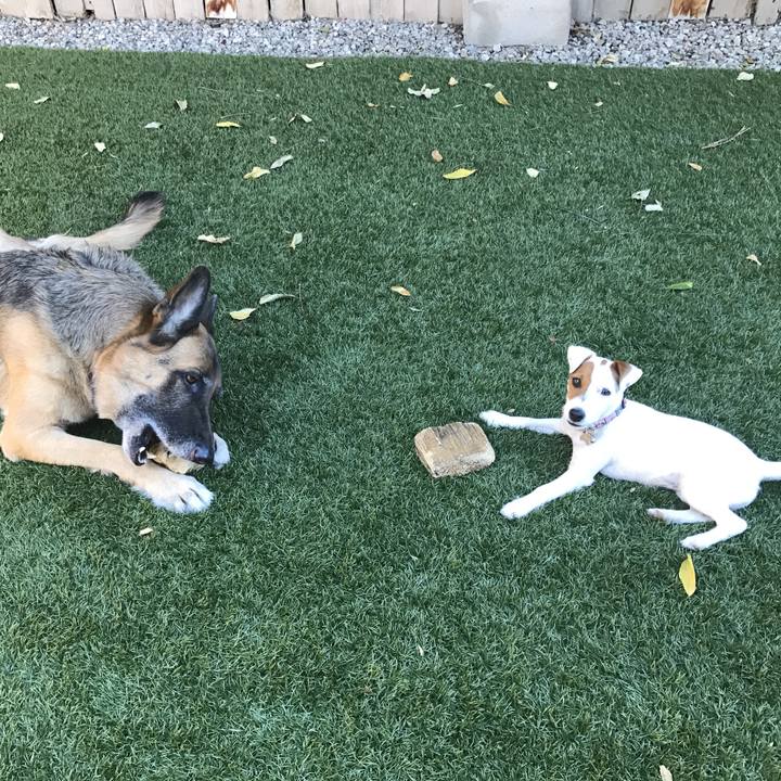 4d2824d2 3213 40b0 9463 913ec53abac9